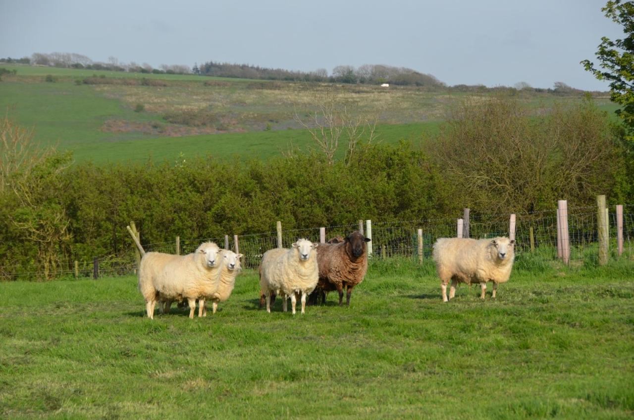 Top Parts Bed & Breakfast Abbotsbury Exterior foto